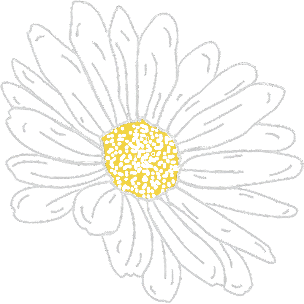 Daisy Connections